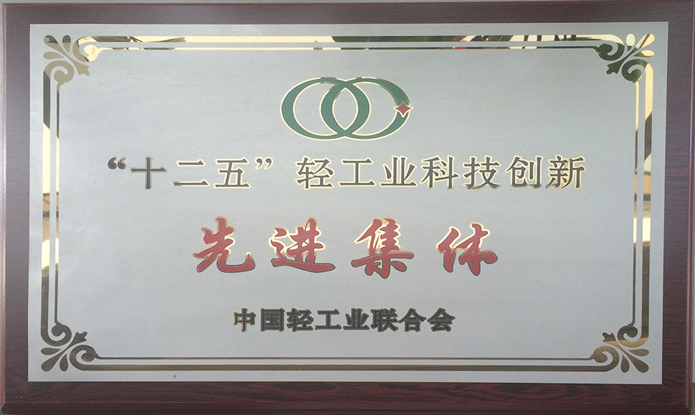 2016年十二五轻工业科技创新先进集体